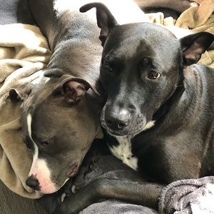 Meet your Posher, Francine